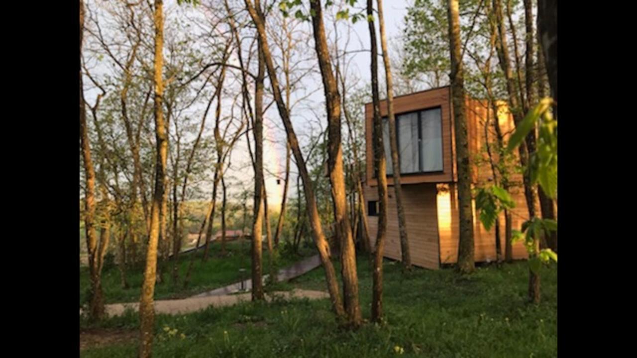 Les Cocons De L'Illon Ville-sur-Illon Exterior foto